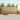 Set de canapele de exterior 9 buc. natural Lemn Solid de Acacia