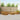 Set de canapele de exterior 10 buc. natural
