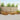 Set de canapele de exterior 10 buc. natural
