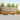 Set de canapele de exterior 10 buc. natural