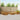 Set de canapele de exterior 10 buc. natural