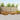 Set de canapele de exterior 10 buc. natural