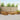 Set de canapele de exterior 10 buc. natural