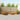 Set de canapele de exterior 10 buc. natural