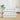 Cadru de pat la sol Alb 80 x 210 cm Lemn de pin masiv