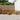 Set de canapele de exterior 6 buc. natural Lemn Solid de Acacia