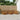 Set de canapele de exterior 7 buc. natural Lemn Solid de Acacia