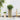Cutii de plantare Maro 33 x 33 x 65 cm Lemn de pin tratat