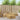 4 buc. Set de canapele de exterior Alb