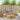 4 buc. Set de canapele de exterior Poliester Alb