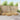 6 buc. Set de canapele de exterior Alb