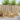 Set de canapele de exterior 5 buc. Alb Lemn Solid de Acacia