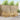 Set de canapele de exterior 7 buc. Alb Lemn Solid de Acacia