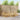 Set de canapele de exterior 7 buc. Alb Lemn Solid de Acacia