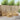 Set de canapele de exterior 6 buc. Alb Lemn Solid de Acacia
