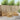 Set de canapele de exterior 6 buc. Alb Lemn Solid de Acacia