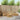 Set de canapele de exterior 6 buc. Alb Lemn Solid de Acacia