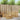 Set de canapele de exterior 5 buc. Alb Lemn Solid de Acacia