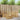 Set de canapele de exterior 5 buc. Alb Lemn Solid de Acacia