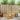Set de canapele de exterior 5 buc. Alb Lemn Solid de Acacia