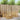 Set de canapele de exterior 5 buc. Alb Lemn Solid de Acacia