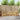 Set de canapele de exterior 5 buc. Alb Lemn Solid de Acacia
