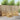 Set de canapele de exterior 6 buc. Alb Lemn Solid de Acacia