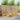 Set de canapele de exterior 6 buc. Alb Lemn Solid de Acacia