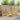 Set de canapele de exterior 6 buc. Alb Lemn Solid de Acacia