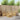Set de canapele de exterior 6 buc. Alb Lemn Solid de Acacia