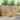 Set de canapele de exterior 6 buc. Alb Lemn Solid de Acacia