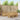 Set de canapele de exterior 7 buc. Alb Lemn Solid de Acacia