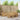 Set de canapele de exterior 7 buc. Alb Lemn Solid de Acacia