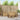 Set de canapele de exterior 7 buc. Alb Lemn Solid de Acacia
