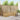 Set de canapele de exterior 6 buc. Alb Poliester