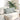Perne pentru canapea 2 pcs Gri deschis 60 x 40 cm