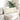 Perne pentru canapea 2 pcs Crem 80 x 40 cm
