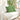 Perne pentru canapea 2 pcs Verde deschis 45 x 45 cm