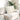 Perne pentru canapea 2 pcs Crem 50 x 50 cm