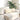 Perne pentru canapea 2 pcs Crem 50 x 30 cm