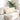 Perne pentru canapea 2 pcs Crem 60 x 40 cm
