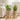 Set de Ghivece pentru Plante 2 buc. natural Ø 21 x 21 cm