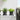 Ghivece pentru plante 6 buc. Negru Plastic