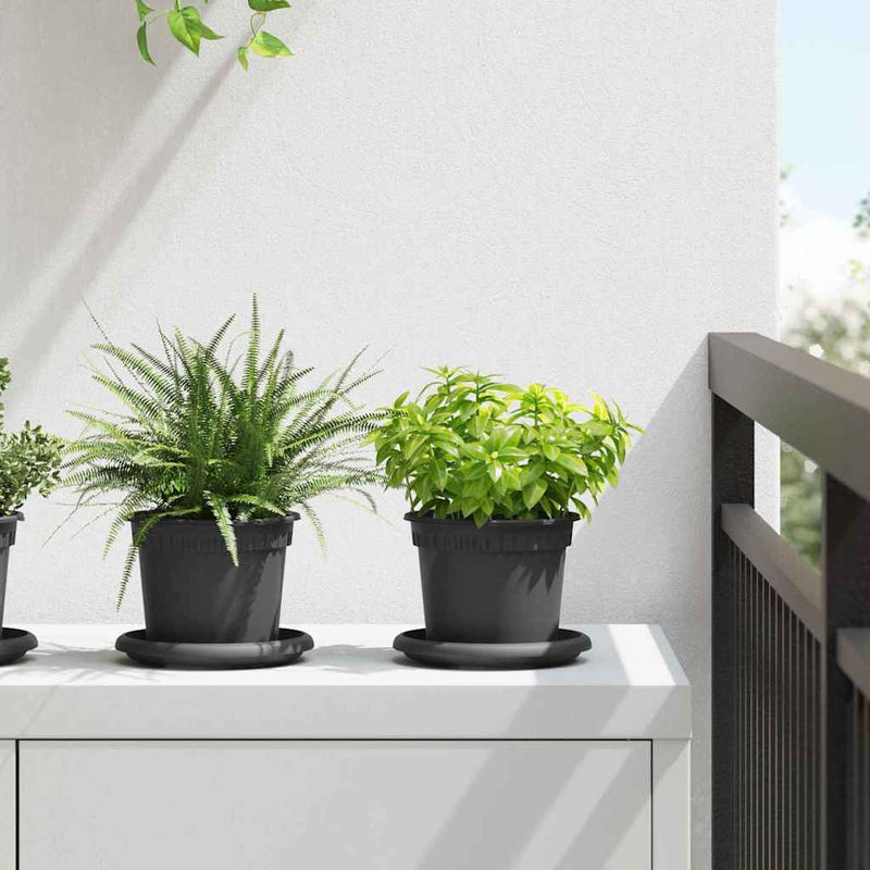 Ghivece pentru plante 6 buc. Negru Plastic