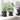 Ghivece pentru plante 6 buc. Negru Plastic