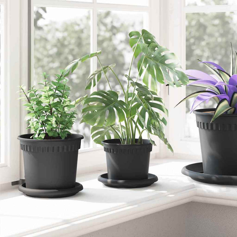 Ghivece pentru plante 6 buc. Negru Plastic