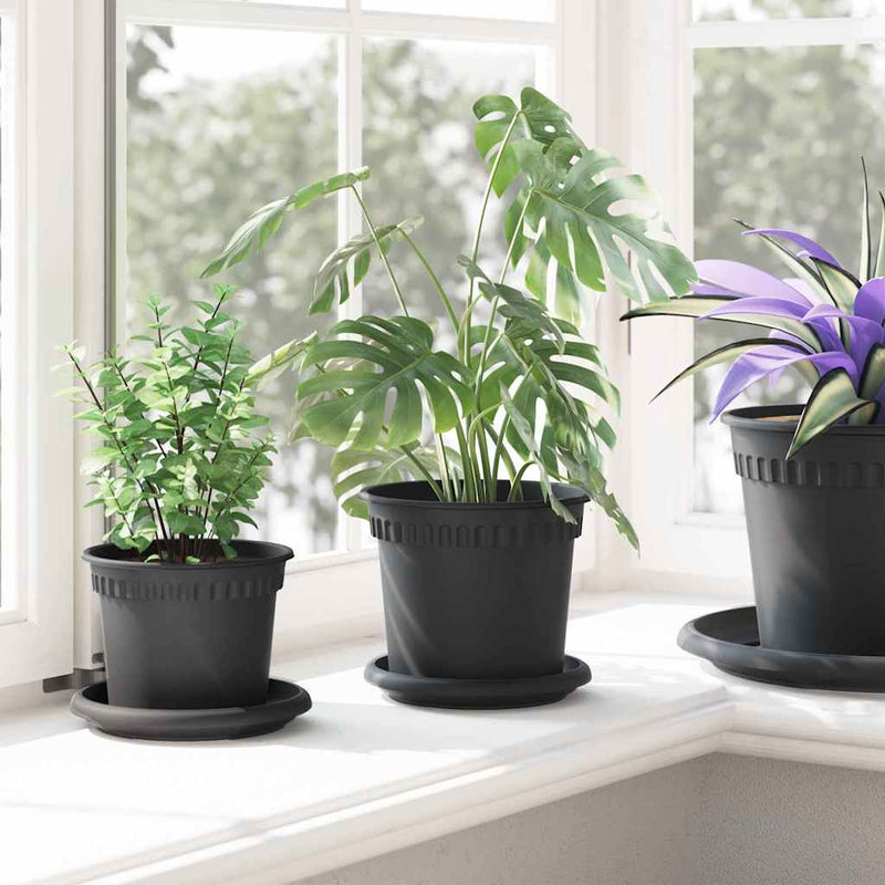 Ghivece pentru plante 6 buc. Negru Plastic