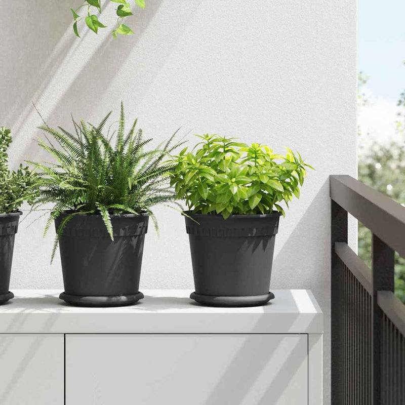 Ghivece pentru plante 6 buc. Negru Plastic