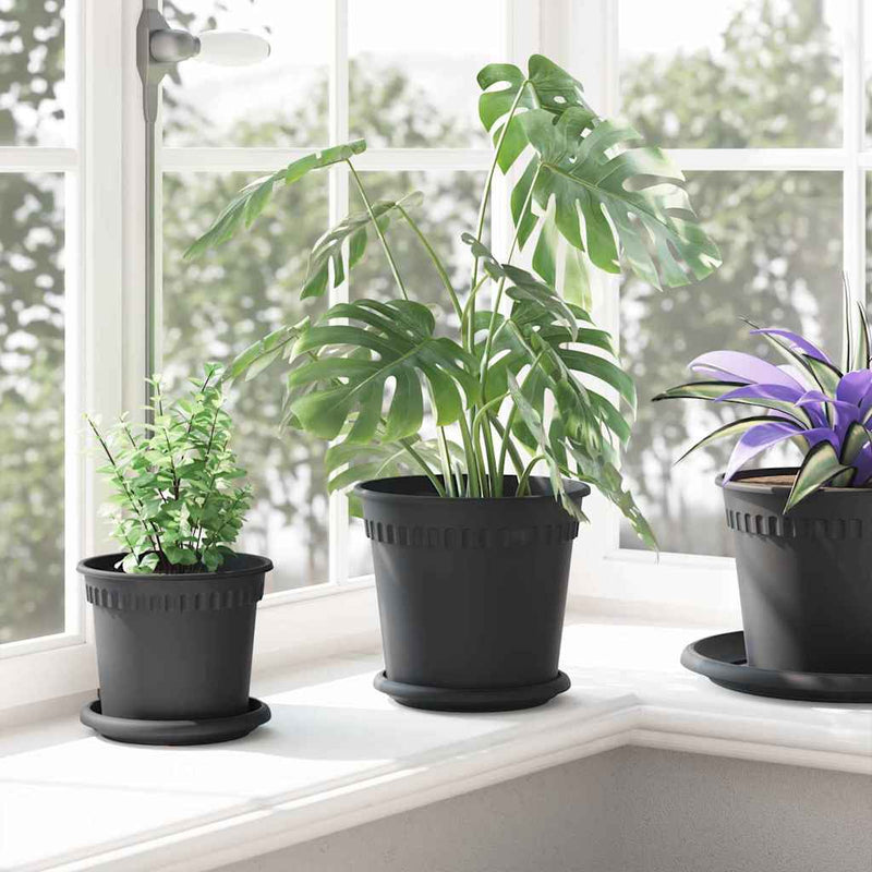 Ghivece pentru plante 6 buc. Negru Plastic