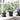 Ghivece pentru plante 24 buc. Negru Plastic